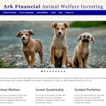 financial-website-after